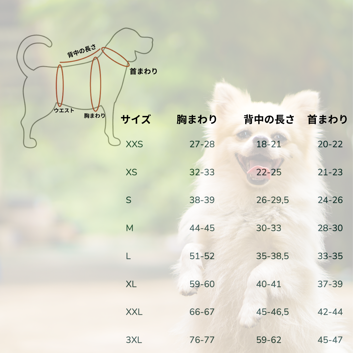 ペット用ニットセーター ・ 小型犬&猫にぴったり