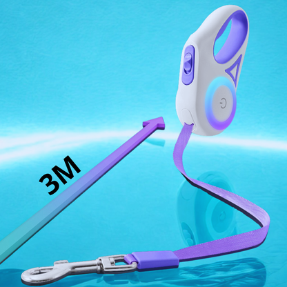 LED Light-Up Leash 
