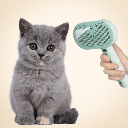 スプレー付きペットブラシ Pet Brush with Mist Spray