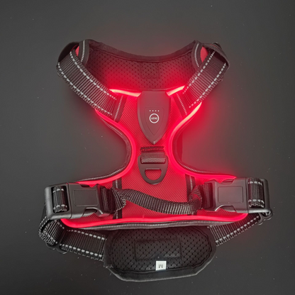 プカープカーLED